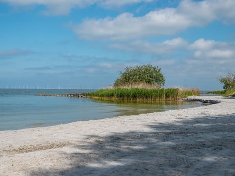 EuroParcs Hindeloopen - Camping Súdwest-Fryslân - Image N°14