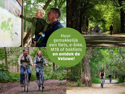 Villatent De IJsvogel - Camping Barneveld - Image N°60