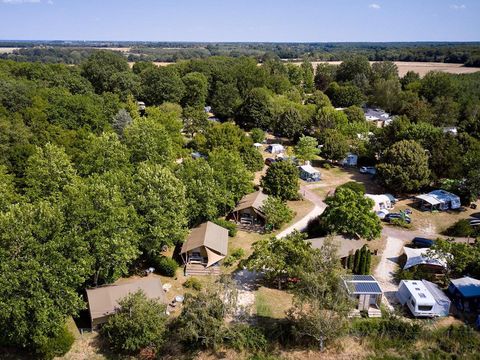 Villatent Les Bois du Bardelet  - Camping Loiret - Image N°20