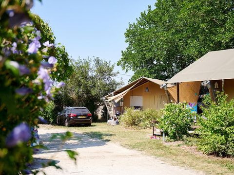 Villatent Les Bois du Bardelet  - Camping Loiret - Image N°27