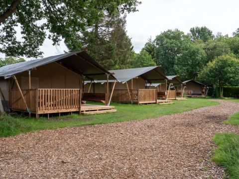 Vodatent Vakantiepark Drentse Weelde - Camping Midden-Drenthe - Image N°4