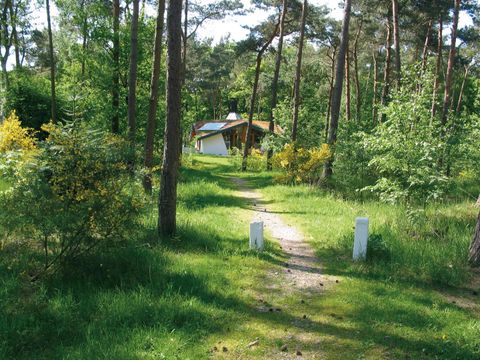 Summio Bungalowpark Herperduin - Camping Oss - Image N°9