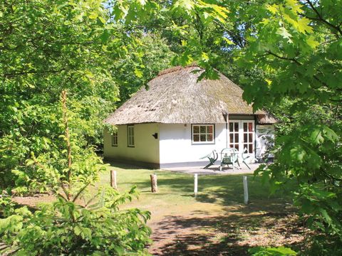 Summio Bungalowpark Herperduin - Camping Oss - Image N°31