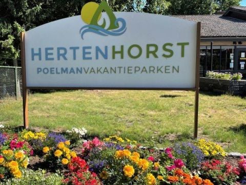 Vakantiepark Hertenhorst - Camping Apeldoorn - Image N°5