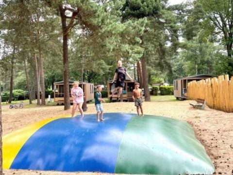 Vakantiepark Hertenhorst - Camping Apeldoorn - Image N°2