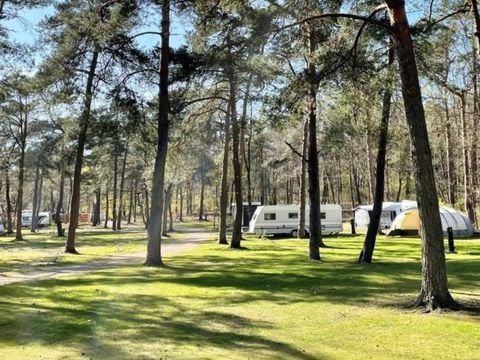 Vakantiepark Hertenhorst - Camping Apeldoorn - Image N°3