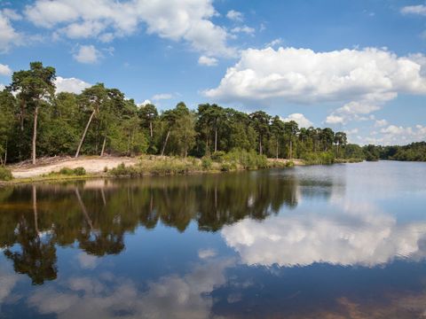 Landal Klein Oisterwijk - Camping Oisterwijk - Image N°22