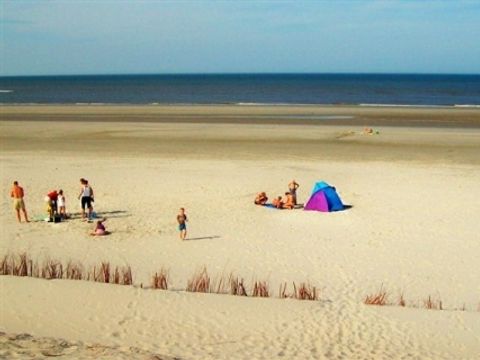 Amelander Paradijs - Camping Ameland - Image N°13