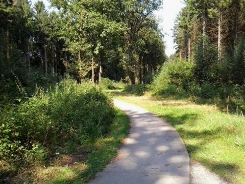 Camping Alkenhaer - Camping Ooststellingwerf - Image N°33