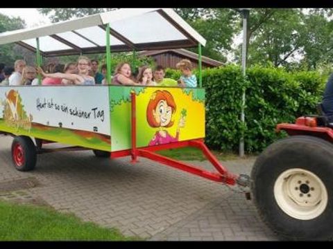 Camping het Wieskamp - Camping Winterswijk - Image N°16