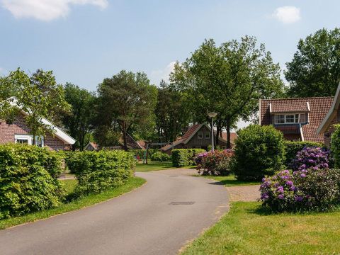 Buitengoed Het Lageveld - Camping Wierden - Image N°12