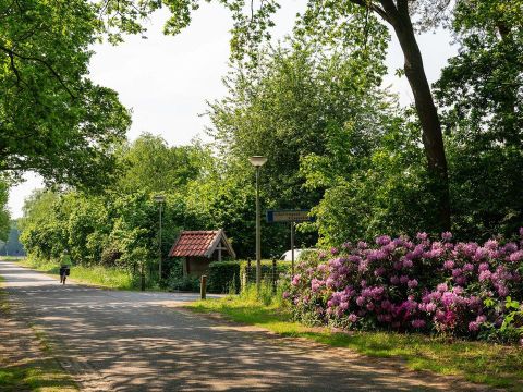 Buitengoed Het Lageveld - Camping Wierden - Image N°20