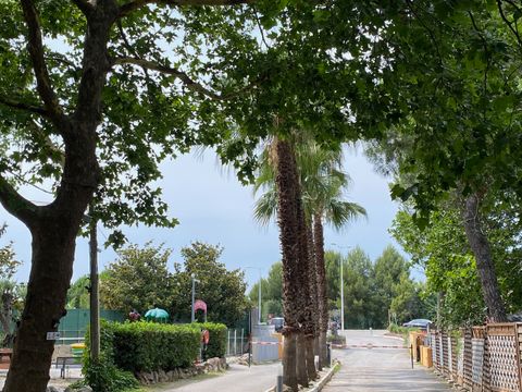 Camping de l'Arnel - Camping Hérault - Image N°26