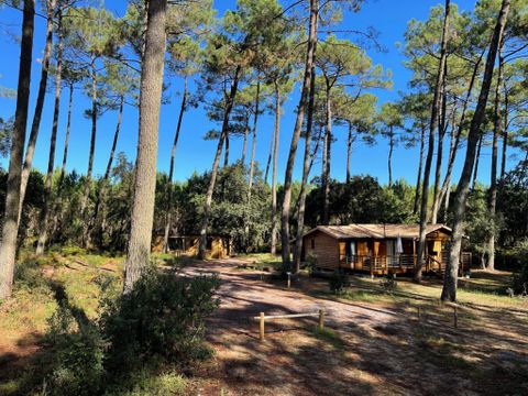 Le Green Resort - Camping Landes - Image N°17