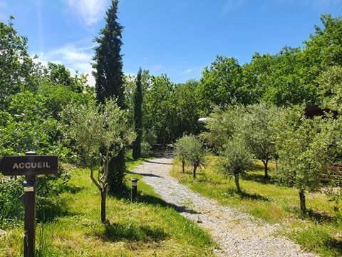 LODGE 2 personnes - Roulotte hôtelière climatisée avec petit déjeuner / Spa privatif en option