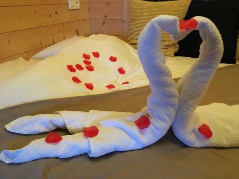 UNUSUAL ACCOMMODATION 2 people - Suite Nid d'Amour and Spa ( ultimate refinement in the treetops for couples ) / 2 pers included