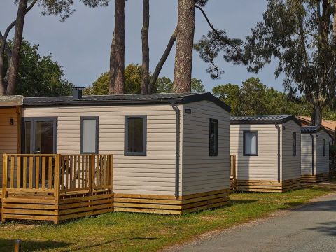 Camping Marvilla Parks - La Pinède - Camping Charente-Maritime - Image N°28