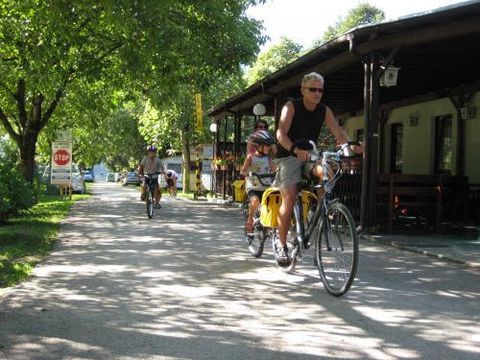 Lago Arsiè Camping Village - Camping Vicence - Image N°19