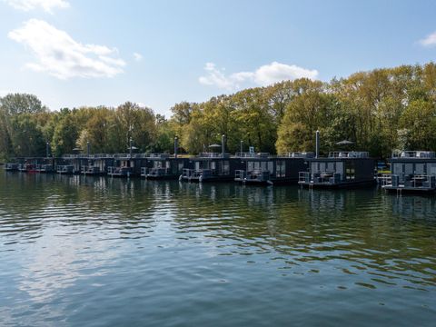 Marinapark Mookerplas - Camping Mook und Middelaar - Image N°8