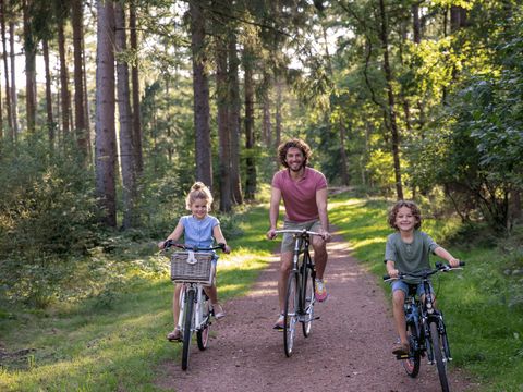 Hub Resorts Drentse Weelde - Camping Midden-Drenthe - Image N°10