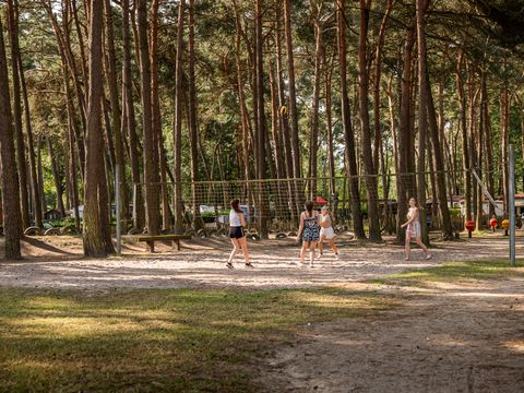 Familiepark Goolderheide - Camping Limburg Belge - Image N°23