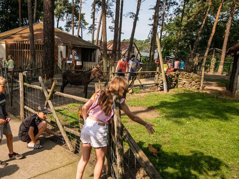 Familiepark Goolderheide - Camping Limburg Belge - Image N°5