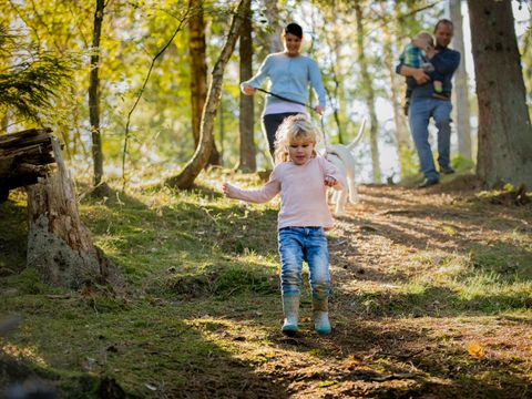 Landal Sohojlandet - Camping Jutland-Central - Image N°13