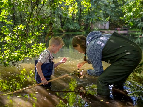 Landal Sohojlandet - Camping Jutland-Central - Image N°29