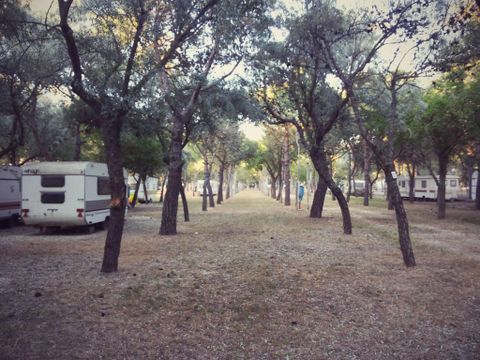 Camping Lido Tellina - Camping Foggia - Image N°8