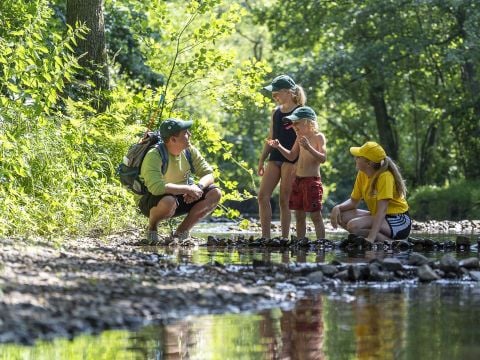 Camping Sandaya Parc La Clusure - Camping Luxembourg - Image N°10