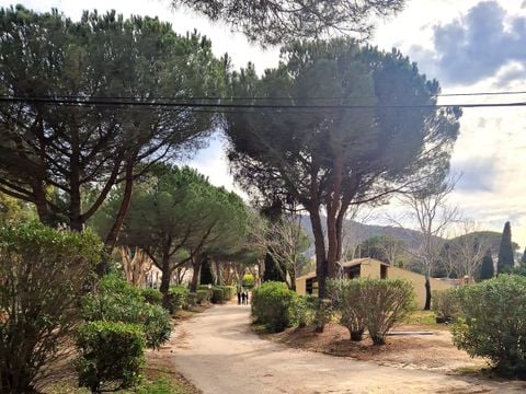 Camping maeva Escapades Le Hameau des Pins - Camping Var - Image N°21