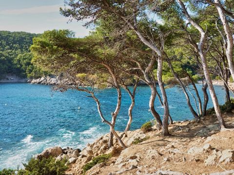 Camping de l' Arquet - Camping Bouches-du-Rhône - Image N°18