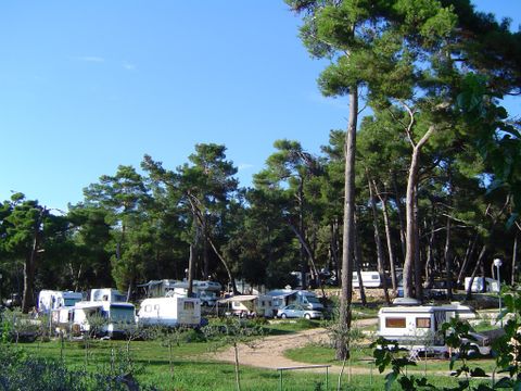 Camping Porton Biondi - Camping Istrie - Image N°11