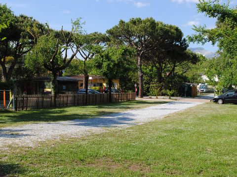 Camping Dal Pino - Camping Massa-Carrara - Afbeelding N°2