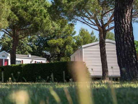 TO et particuluers sur camping Le Lac des Rêves Funpass inclus - Camping Herault - Image N°8