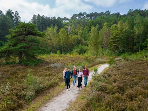 Landal Residence Berger Duinen - Camping Bergen - Afbeelding N°3