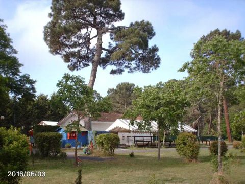 Camping Bel Air Village le Lac de Cazaux - Camping Gironde - Image N°7