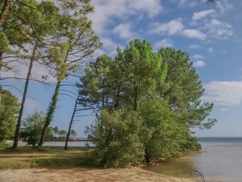 Camping Bel Air Village le Lac de Cazaux - Camping Gironde - Image N°17