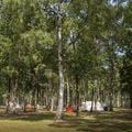 Camping de Binnenvaart