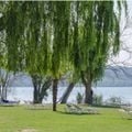 Camping Trasimeno 