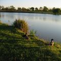 Camping du Lac de Saujon