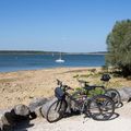 Camping De La Forêt