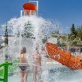 Camping L'Orangeraie - Camping Paradis