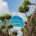 Camping L'Orangeraie - Camping Paradis