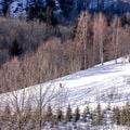 Résidence Les Terrasses des Bottières