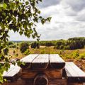 Roompot Bospark De Schaapskooi