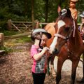 Center Parcs Park Erperheide