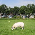 Vakantiepark Het Grootslag