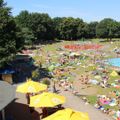 Molecaten Park Bosbad Hoeven