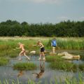 Vakantieoord De Bronzen Emmer